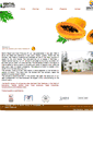 Mobile Screenshot of papainindia.com